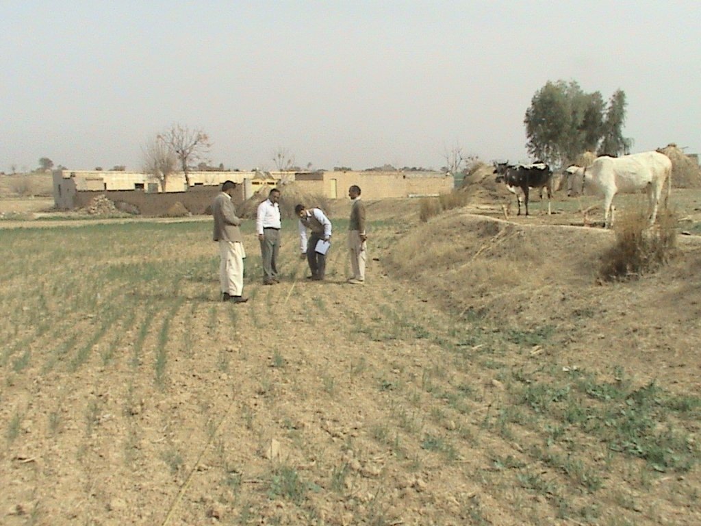 Quality Schools for 25,000 of Pakistan's Poor