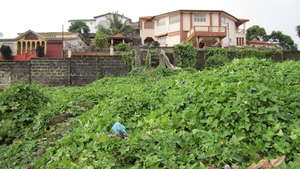 Example of current wall at clinic compound