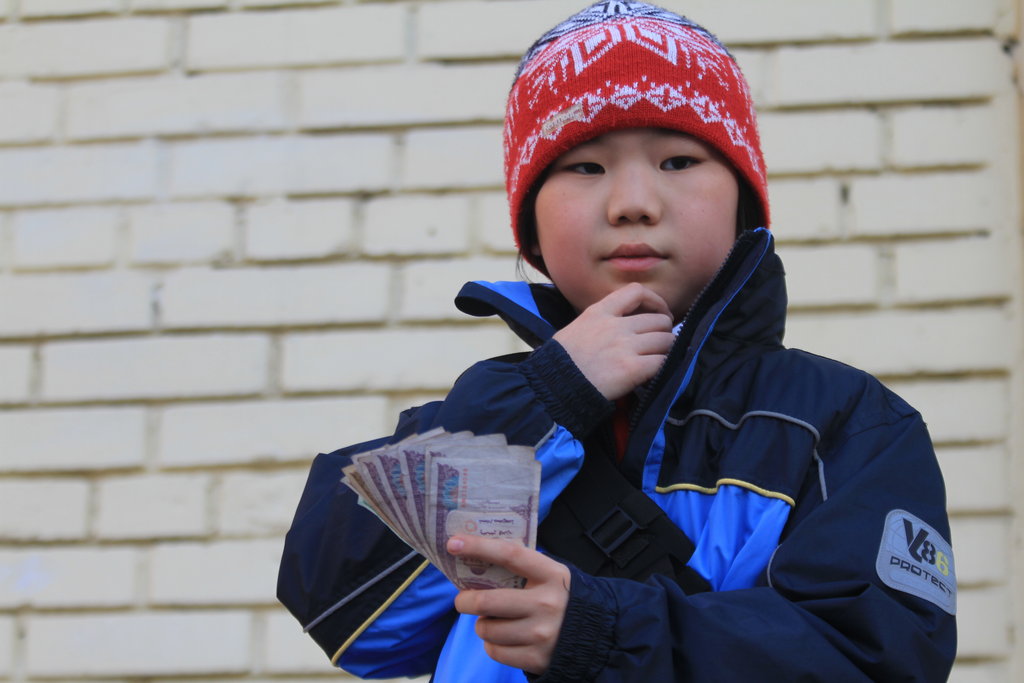 Financial Literacy Act for Mongolian Education
