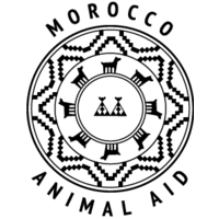 Morocco Animal Aid