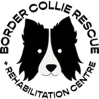 Border Collie Rescue and Rehab Centre