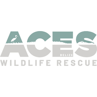 Aces Wildlife Rescue