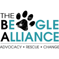 The Beagle Alliance