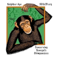 Neighbor Ape