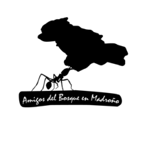 AMIGOS DEL BOSQUE, OBC