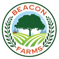 Beacon of Hope Cayman Foundation Ltd.