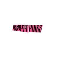 PINKS logo