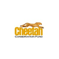 Cheetah Conservation Fund