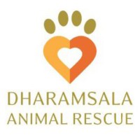 Dharamsala Animal Rescue