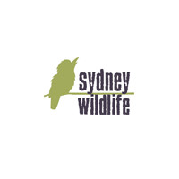 Sydney Wildlife