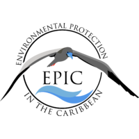 Environmental Protection in the Caribbean