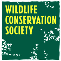 Protect Elephants in Yankari Game Reserve, Nigeria - GlobalGiving