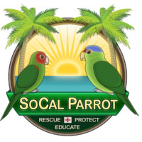 REP for Wildlife; SoCal Parrot