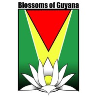 Blossoms of Guyana