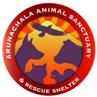 Arunachala Animal Sanctuary & Rescue Shelter