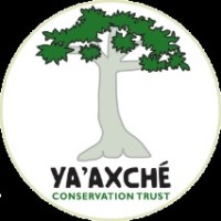 Ya'axche Conservation Trust