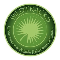 Wildtracks