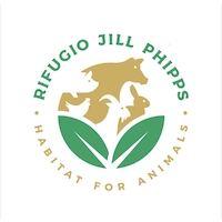 Jill Phipps associazione etica antispecista
