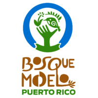 Fideicomiso del Bosque Modelo de Puerto Rico