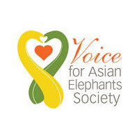 Voice for Asian Elephants Society