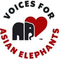 Voices for Asian Elephants