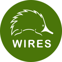 NSW Wildlife Information Rescue & Education Service (WIRES)