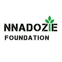 Nnadozie Integrated Development Foundation