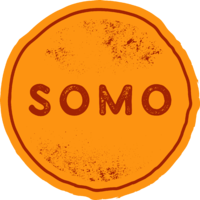 The Somo Project