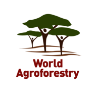 International Centre for Research in Agroforestry