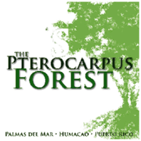 PHA Pterocarpus Forest, Inc.