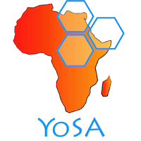 Young Scientists for Africa