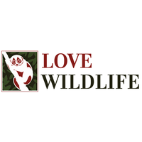 Love Wildlife Foundation