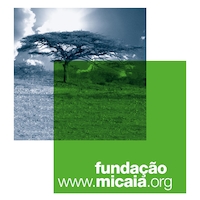 MICAIA Foundation (Fundacao MICAIA)