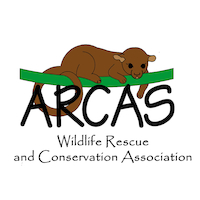 Wildlife Rescue and Conservation Association