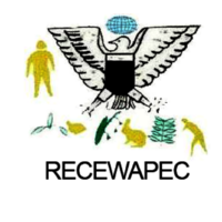 The Regional Center for the welfare of ageing person in Cameroon(RECEWAPEC)