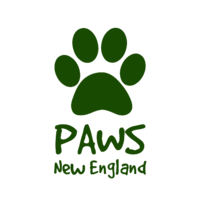 Paws New England