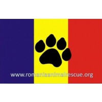 Romania Animal Rescue, Inc.