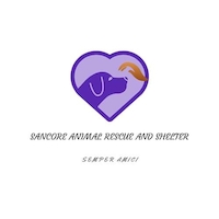 Sancore Animal Rescue and Shelter