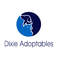 Dixie Adoptables