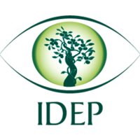 IDEP Foundation