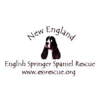 New England English Springer Spaniel Rescue, Inc.