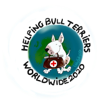 Helping Bull Terriers Worldwide