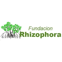 Fundacion Rizophora DHL