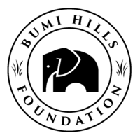 The Bumi Hills Foundation