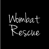 Supporting Wombats after the Australian bushfires logo
