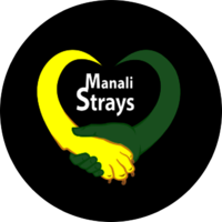Manali Strays