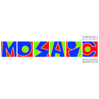 Mosaic Youth Theatre Of Detroit