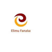 Elimu Fanaka Initiative (EFI)