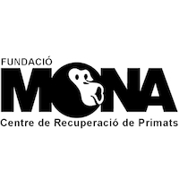 The Mona Foundation logo