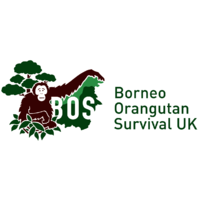 Borneo Orangutan Survival UK Ltd